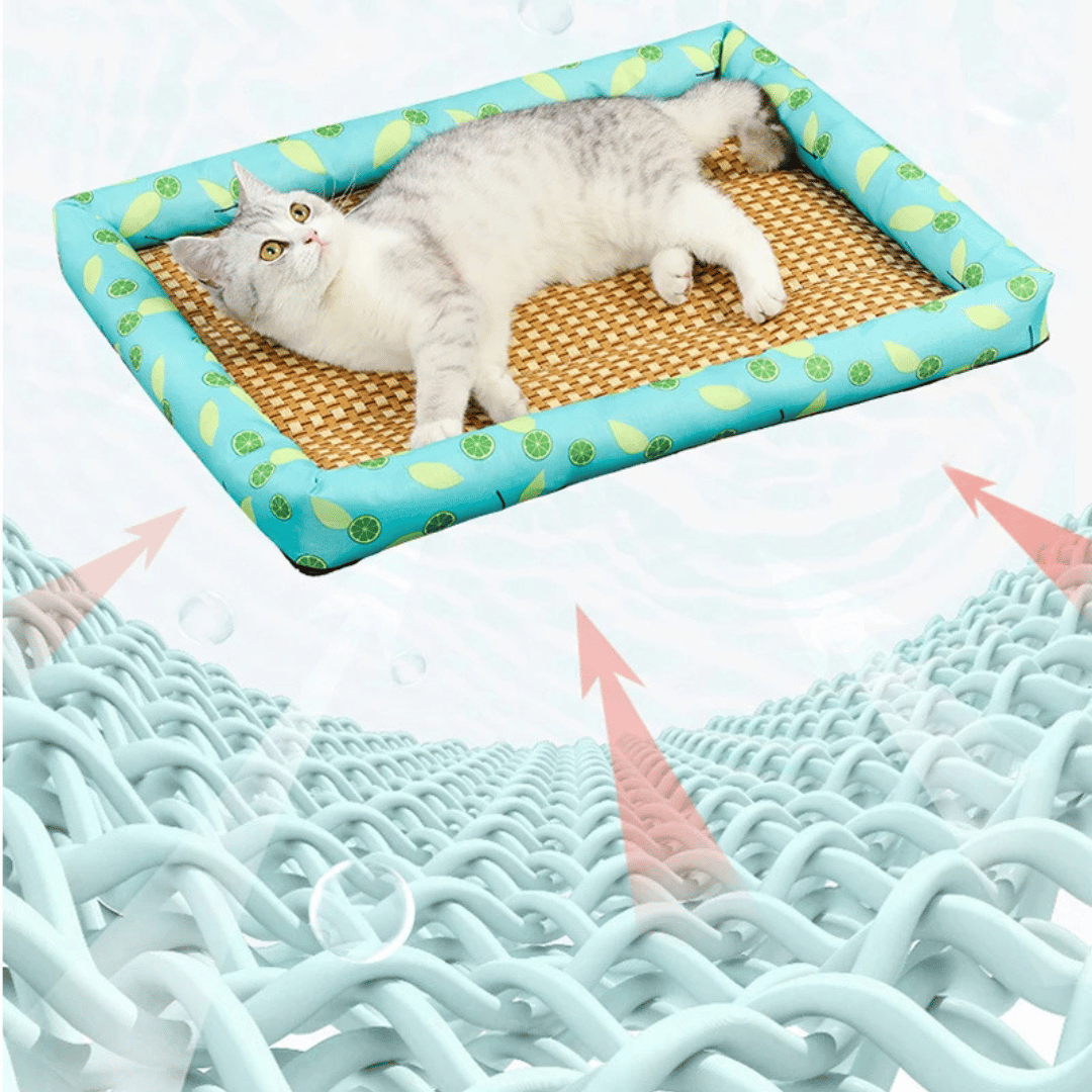 Wicker Pet Bed for Dogs and Cats Comfortable