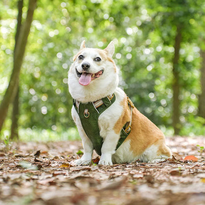 Adjustable Pet Harness Reflective Belts