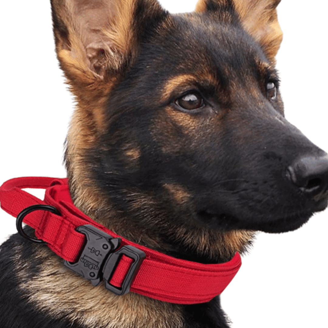 Tactical Dog Collar Durable Nylon Large Breed