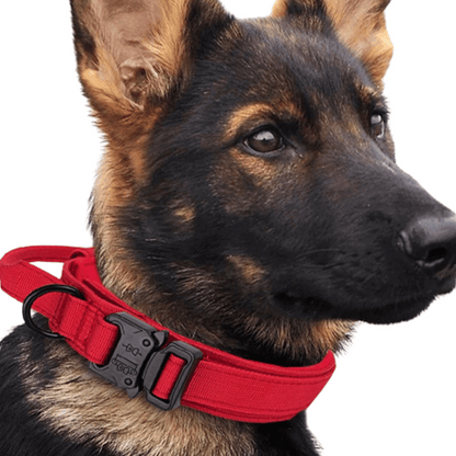 Tactical Dog Collar Durable Nylon Large Breed