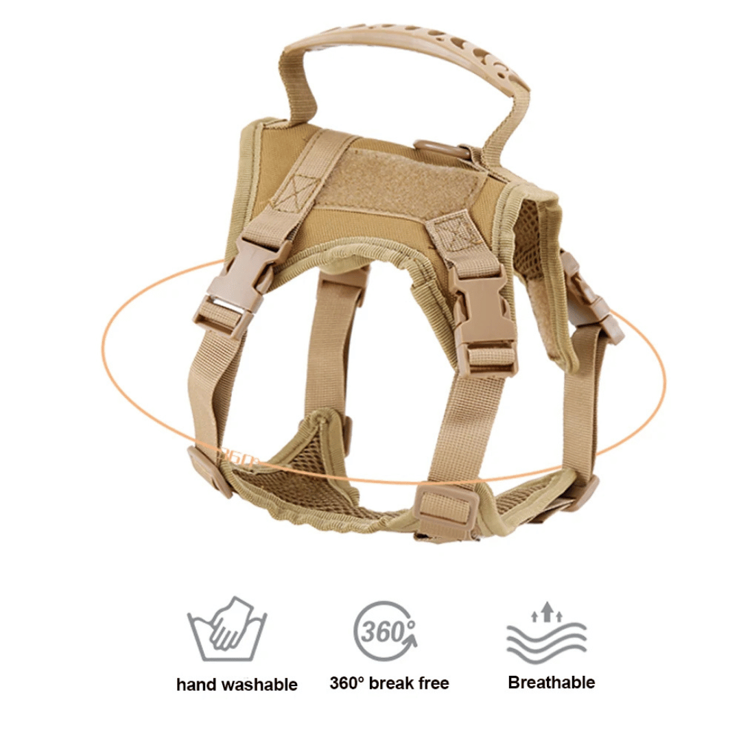Durable Cat Vest And Leash Set