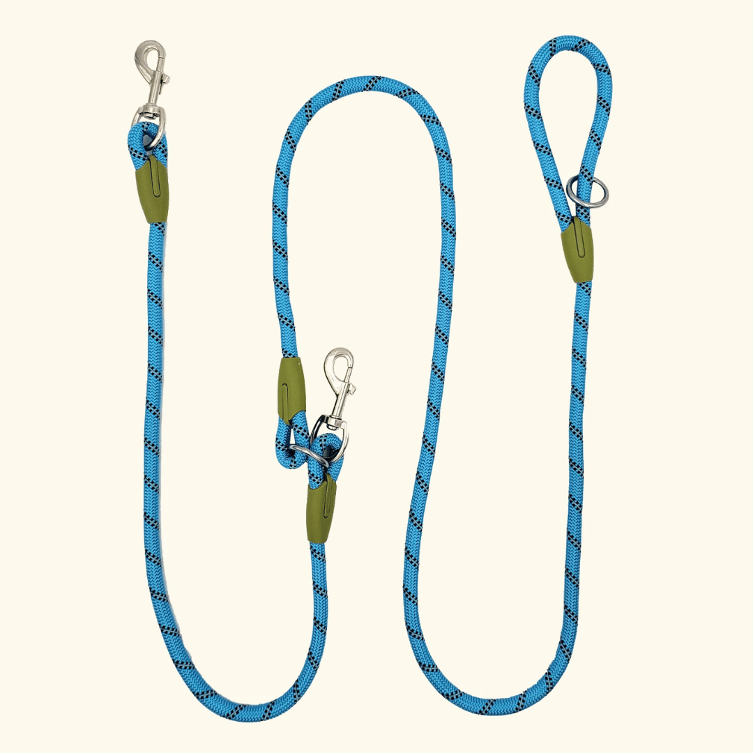 Durable Padded Dog Leash For Large Breeds