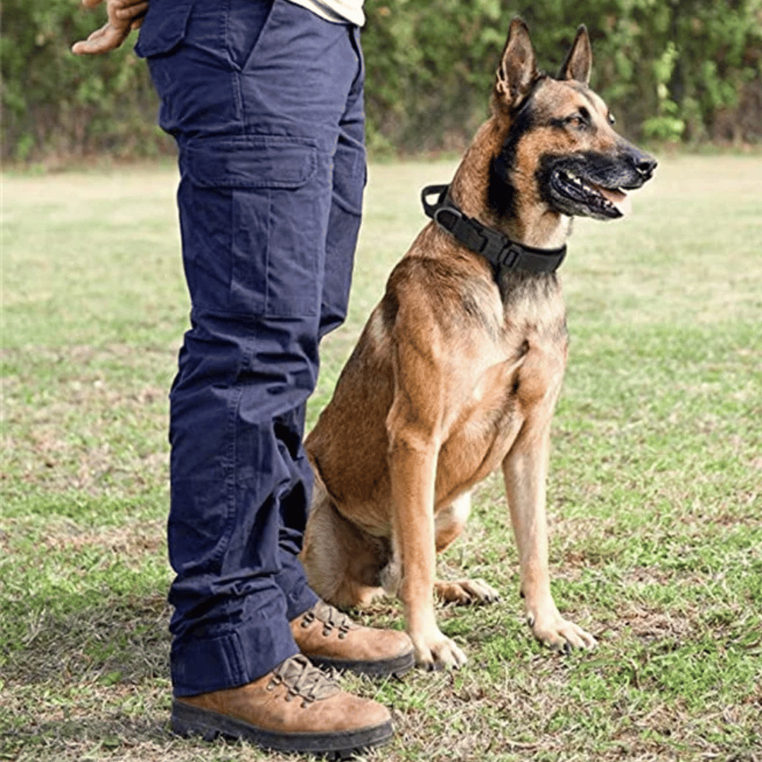 Tactical Dog Collar Durable Nylon Large Breed