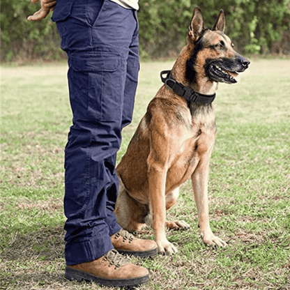 Tactical Dog Collar Durable Nylon Large Breed