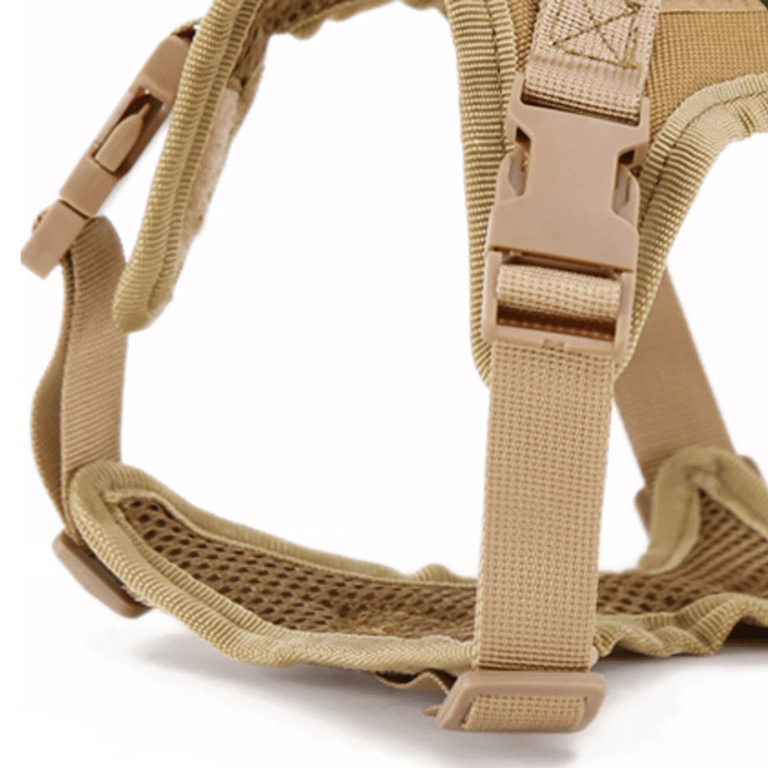 Durable Cat Vest And Leash Set