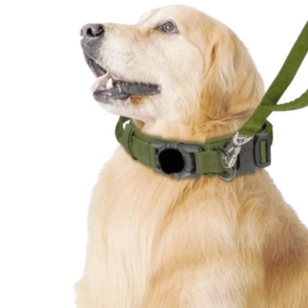 Pet AirTag Collar And Leash Set Durable Outdoor