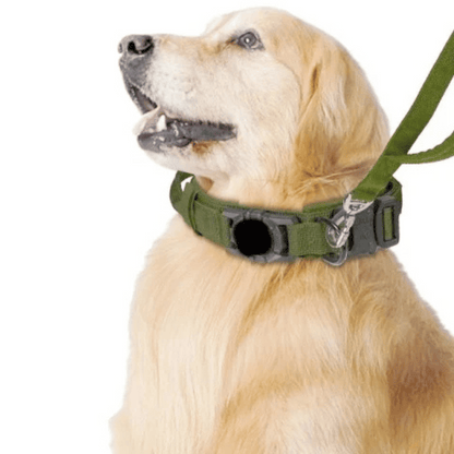 Pet AirTag Collar And Leash Set Durable Outdoor
