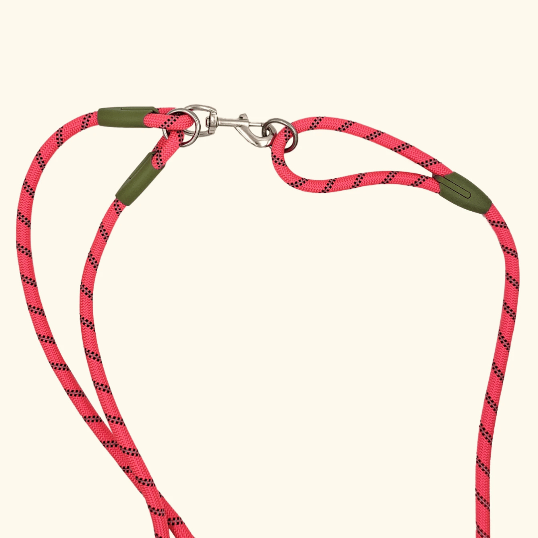 Durable Padded Dog Leash For Large Breeds
