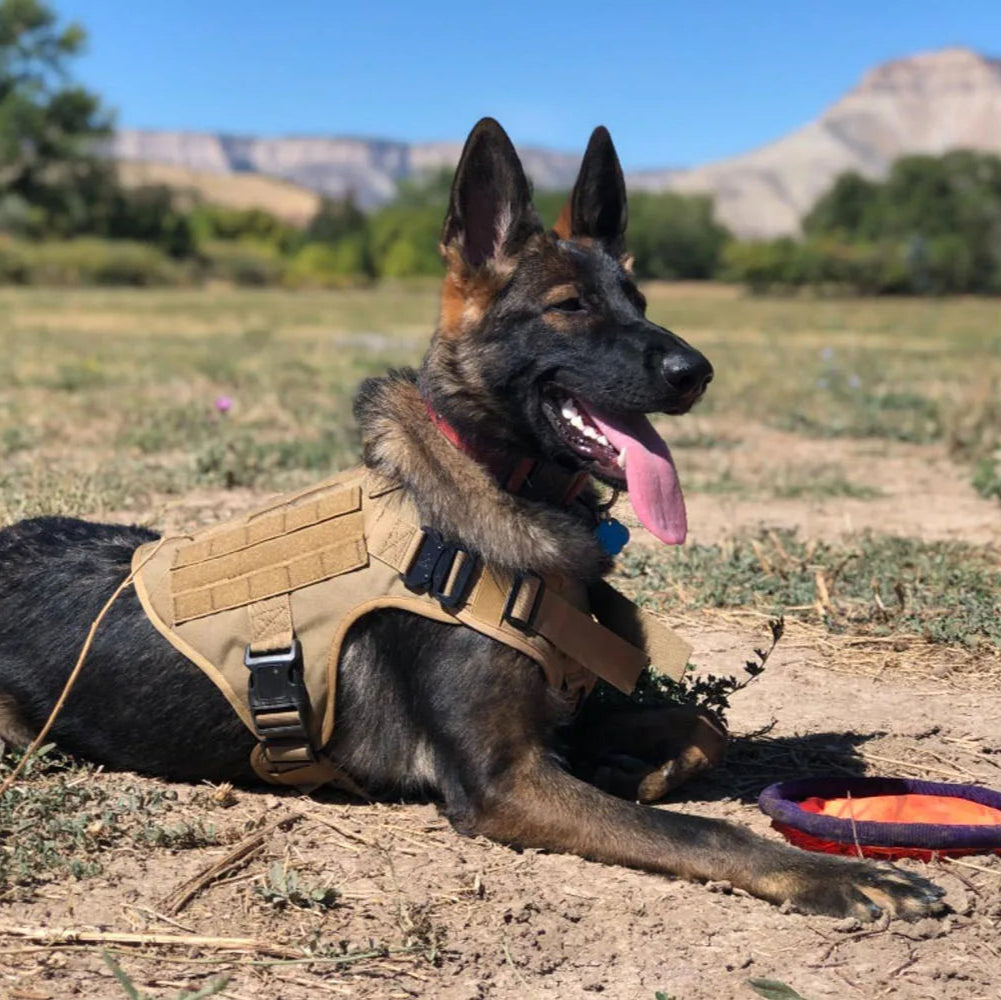 Durable Dog Harness Vest With Handle