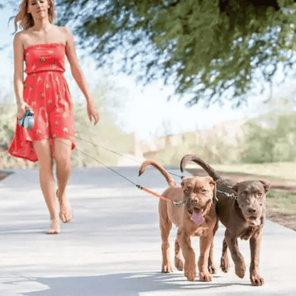 Adjustable Pet Leash Tangle with Light Clip