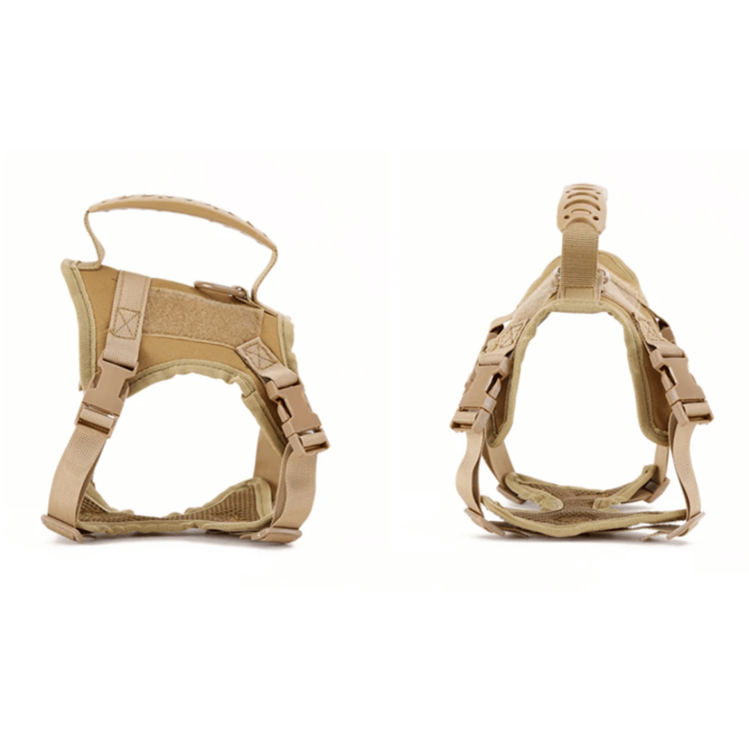 Durable Cat Vest And Leash Set
