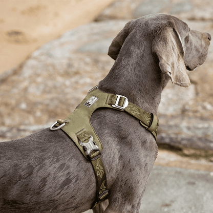 Water Resistant Dog Harness Vest