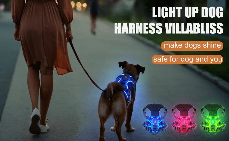 Visible Led Dog Vest Nighttime Walking Safety
