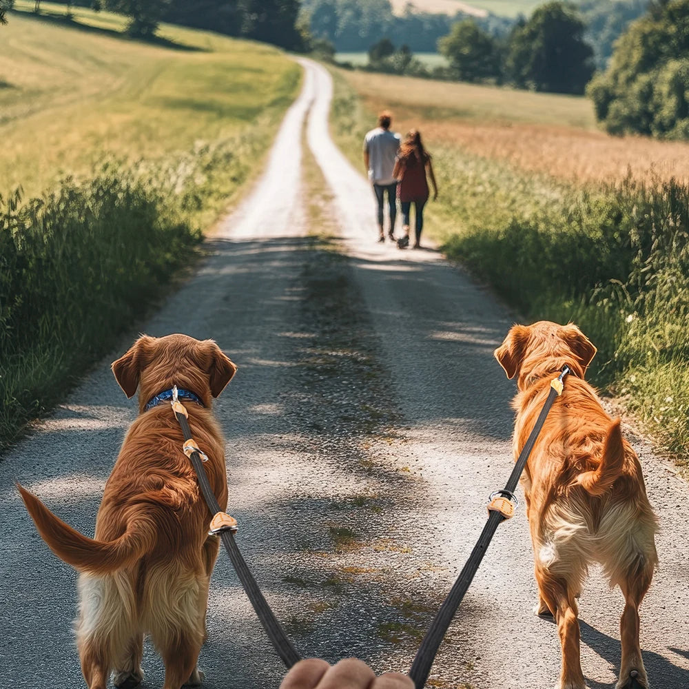 Adjustable Dog Leash Strong Strap