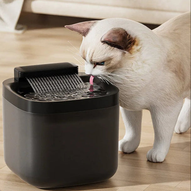 Automatic Pet Water Fountain With Filter - Pupporia