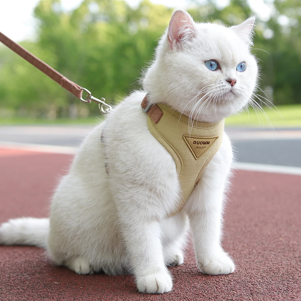 Purrfect Cat Harness And Leash Set - Pupporia