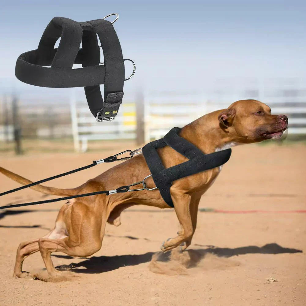 Tough Dog Pulling Harness Padded Support