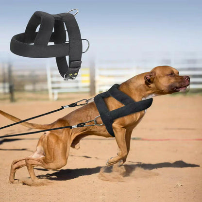 Tough Dog Pulling Harness Padded Support