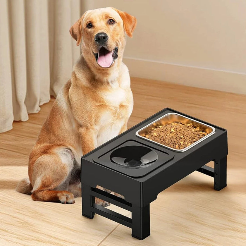 Stainless Steel Elevated Pet Feeder