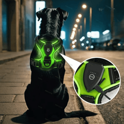 Visible Led Dog Vest Nighttime Walking Safety