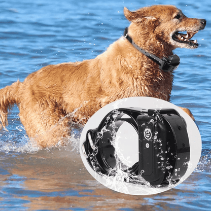 Wireless Pet Containment Training Collar Long Range