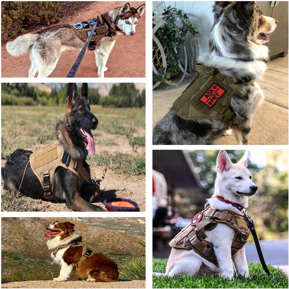 Durable Dog Harness Vest With Handle