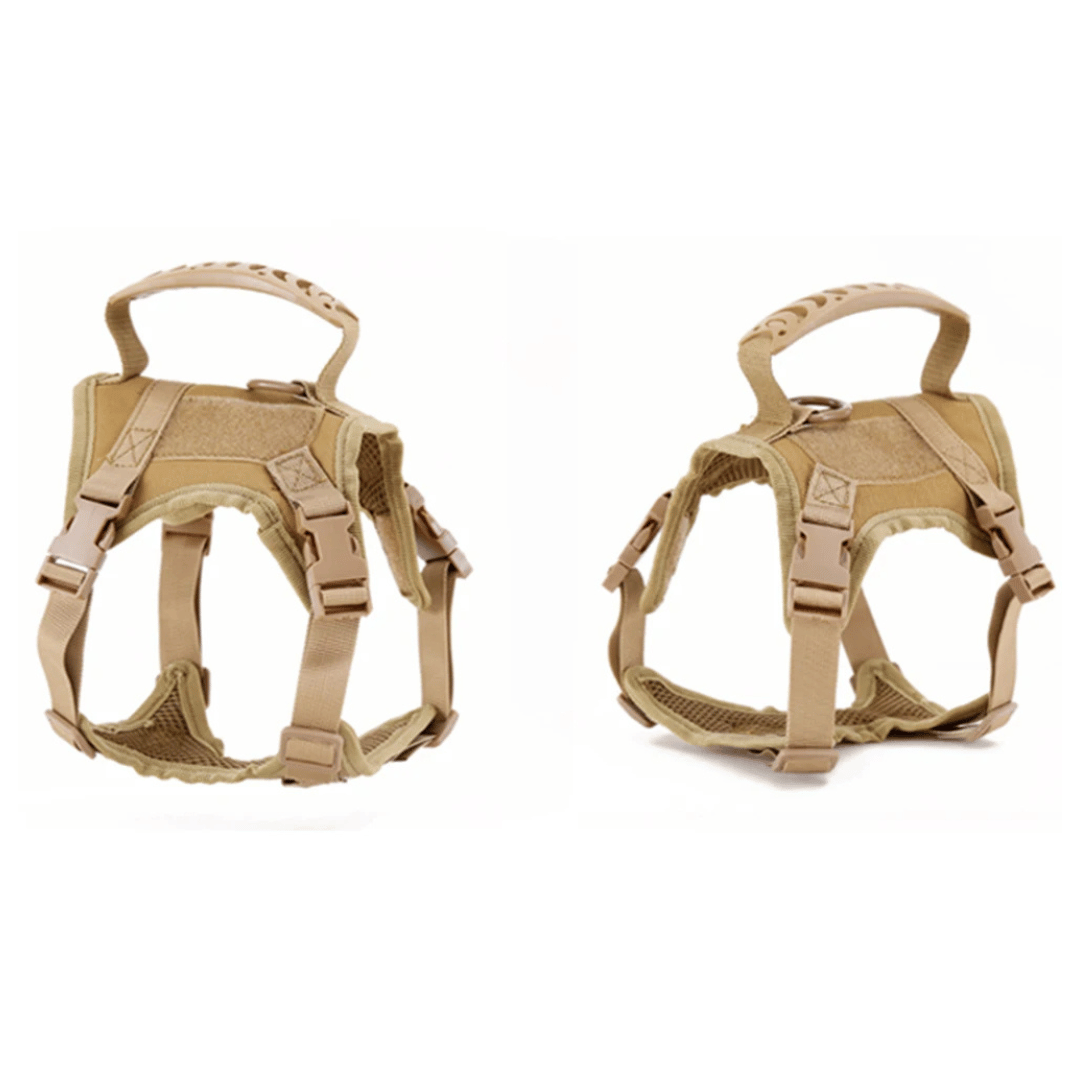 Durable Cat Vest And Leash Set
