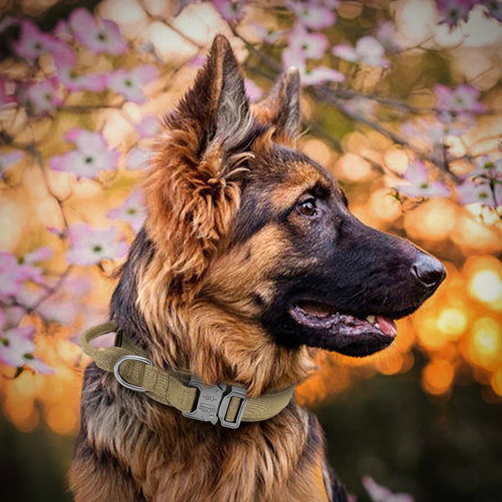 Tactical Dog Collar Durable Nylon Large Breed