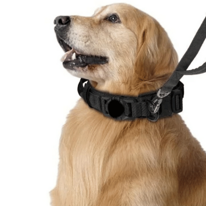 Pet AirTag Collar And Leash Set Durable Outdoor
