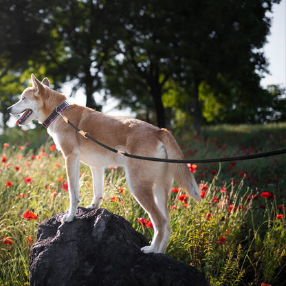 Adjustable Dog Leash Strong Strap