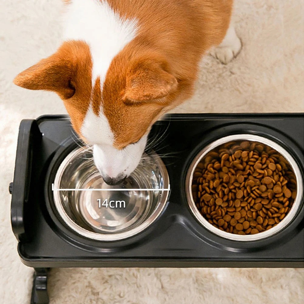 Stainless Steel Elevated Dog Feeder With Two Bowls