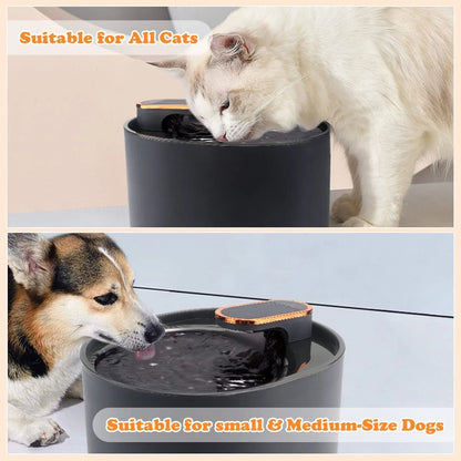 Pet Water Fountain Motion Sensor Night Light