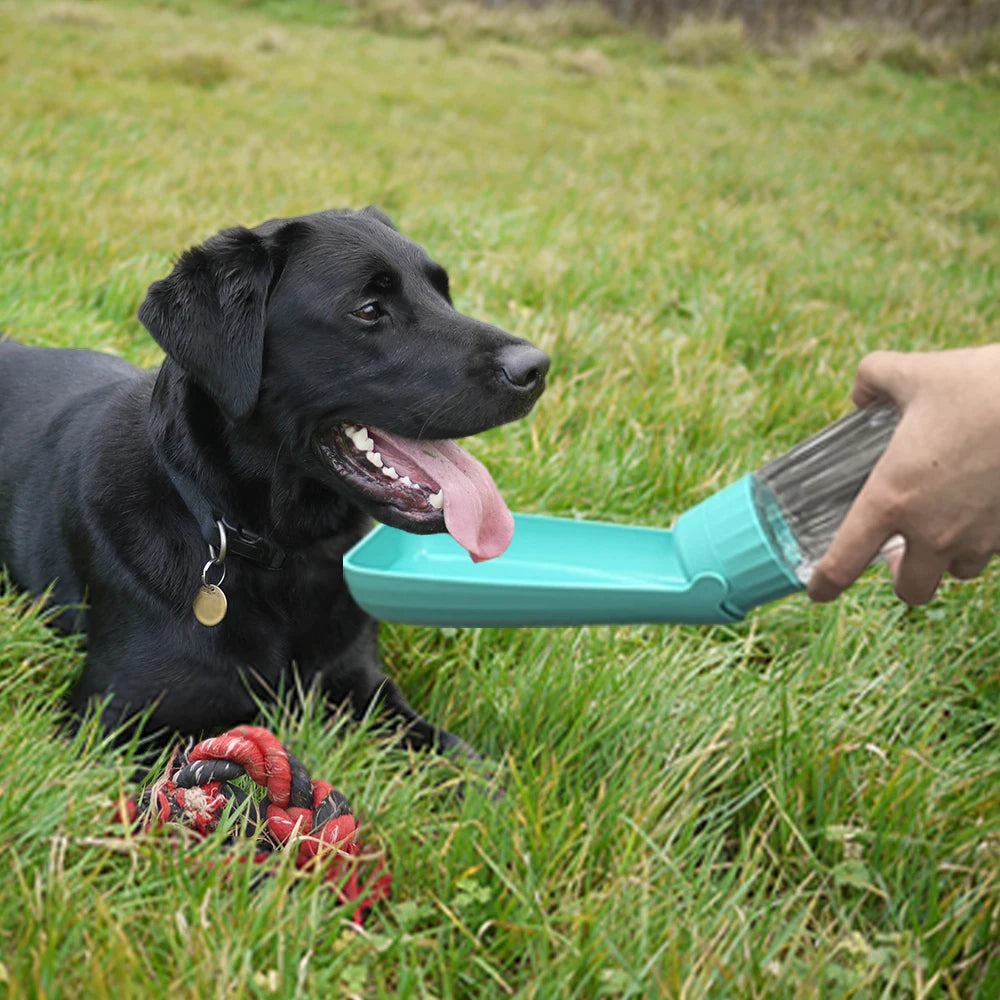 Collapsible Pet Water Bottle 550ml