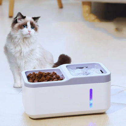 Automatic Pet Feeder Dispenser