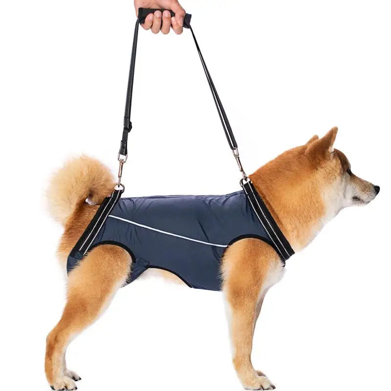 Support Harness For Senior Dogs Comfortable - Pupporia
