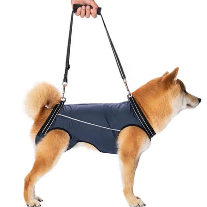Support Harness For Senior Dogs Comfortable - Pupporia