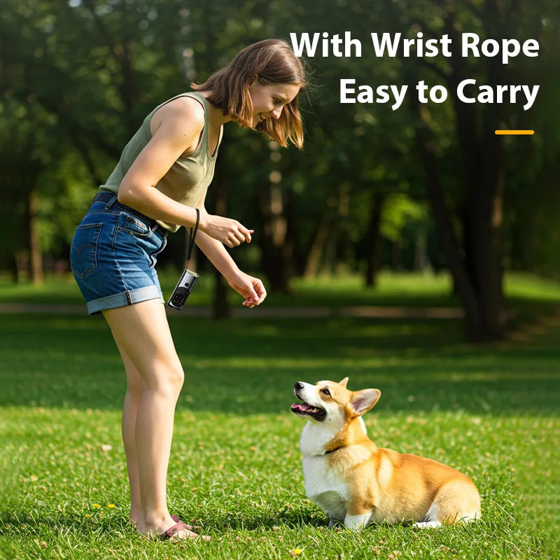 Portable Dog Trainer Ultrasonic Bark Control Flashlight