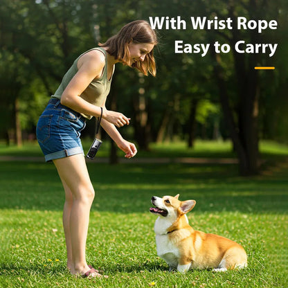 Portable Dog Trainer Ultrasonic Bark Control Flashlight