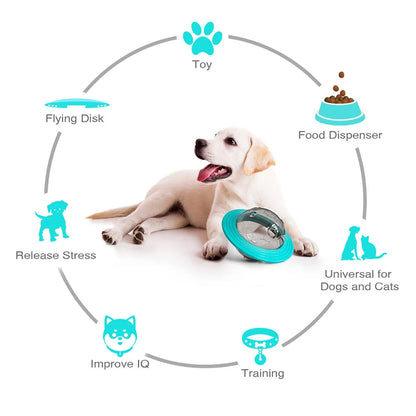 Interactive Dog Toy Slow Feeder Puzzle