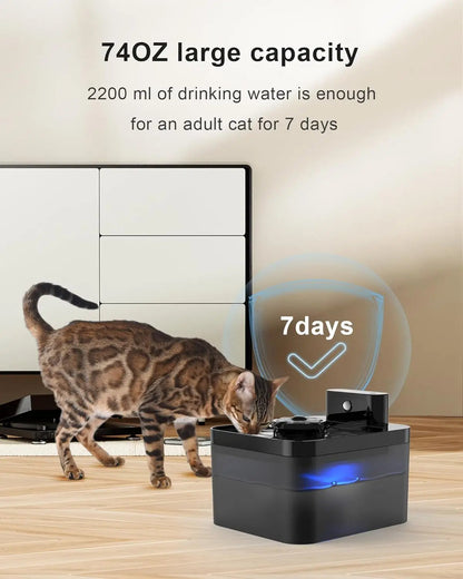 Automatic Pet Water Dispenser Sensor USB