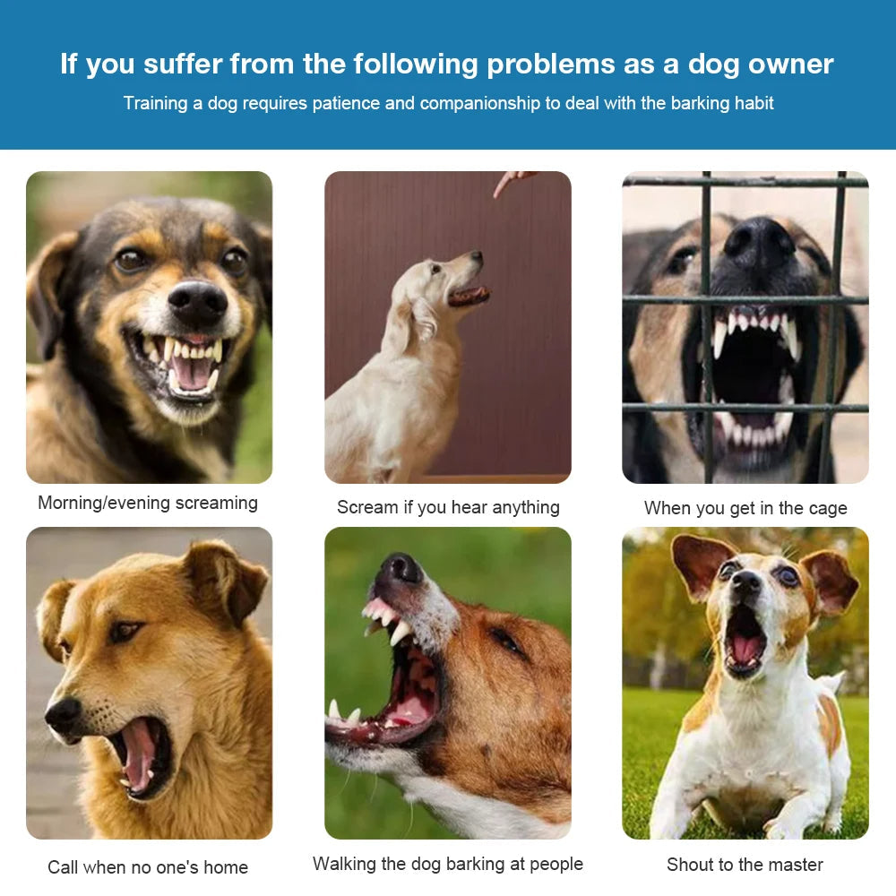 Humane Anti Bark Dog Collar Vibration Mode