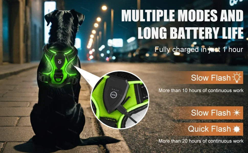 Visible Led Dog Vest Nighttime Walking Safety