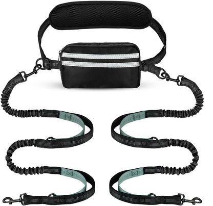 Adjustable Bungee Dog Leash with Pocket
