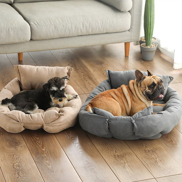Pet Sofa Bed For Small Dogs Cats Comfortable