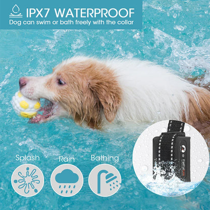 Long Range Pet Training Collar Kit