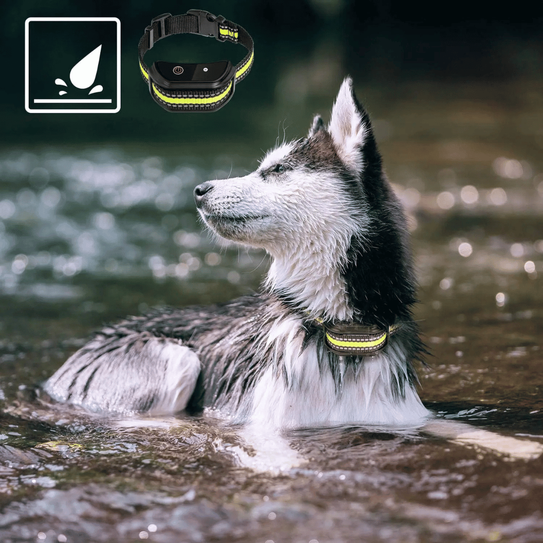 Waterproof Dog Training Collar Long Range LCD Remote