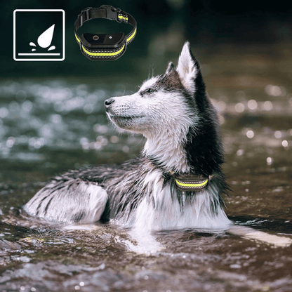 Waterproof Dog Training Collar Long Range LCD Remote