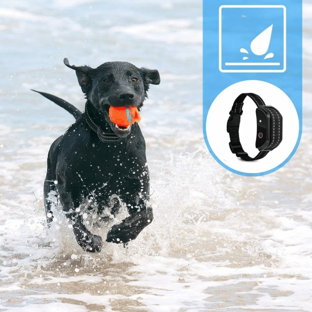Waterproof Dog Training Collar Long Range LCD Remote