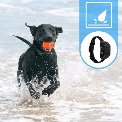 Waterproof Dog Training Collar Long Range LCD Remote