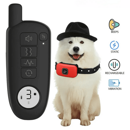 Rechargeable Dog Training Collar With Remote